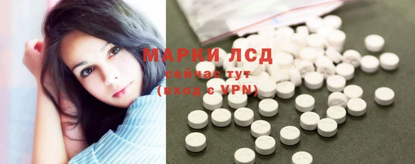 сатива Березники