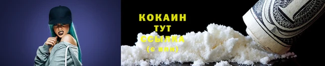 дживик Майский