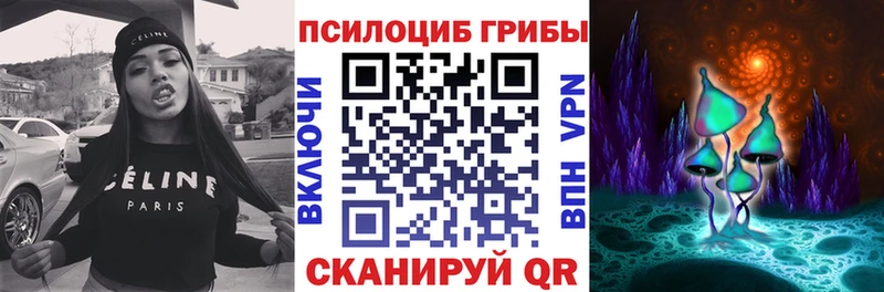 Галлюциногенные грибы мухоморы  наркотики  Тихорецк 