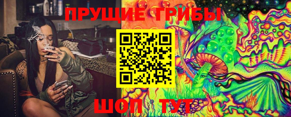 Псилоцибиновые грибы Psilocybe Тихорецк